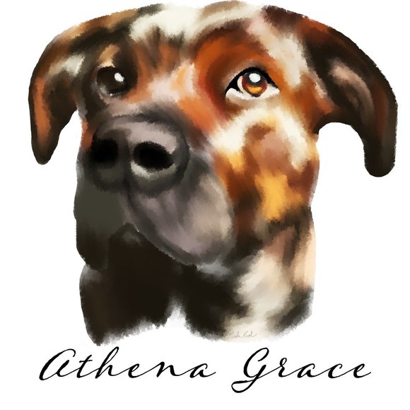 Meet your Posher, Nicole - Picture 10 of 13